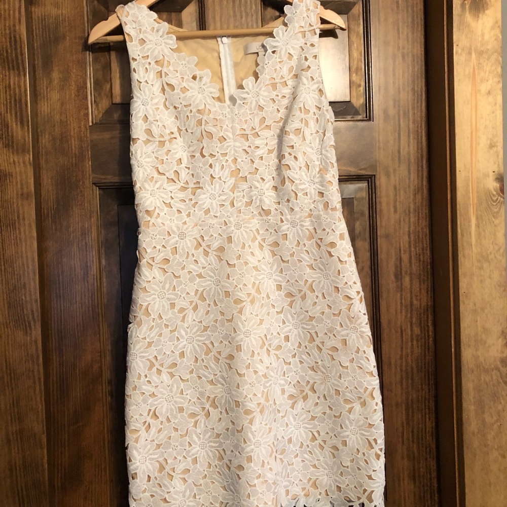 Sleeveless v-neck lace overlay sheath dress